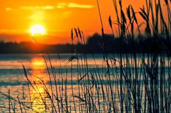 Najlepsze miejsca nad wodą na Śląsku, które warto odwiedzić latem