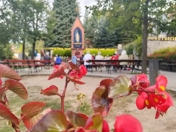 Czerwone kwiaty na pierwszym planie, w tle ludzie siedzący na ławkach przed kapliczką.