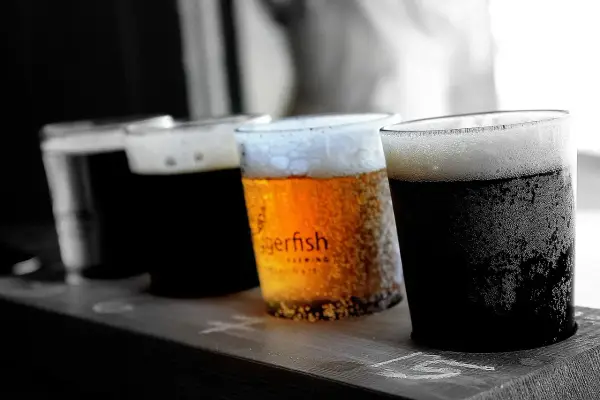 Jak odróżnić stout od ciemnego lagera? Prosty przewodnik