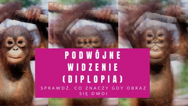 Małpka z potrójnymi oczami, jakby miała podwójne widzenie. Sprawdź, co to znaczy, gdy obraz się dwoi.