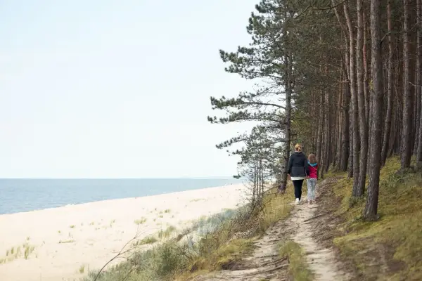 Promenada w Karwi - Sprawdź, kiedy unikać tłumów!