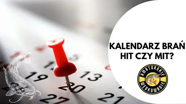 Kalendarz brań - Kiedy działa, a kiedy myli? Sprawdź!