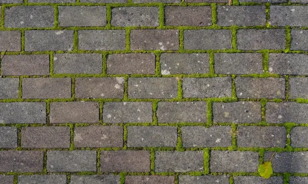 Jak usunąć zielony nalot z kostki brukowej - skuteczne metody i porady