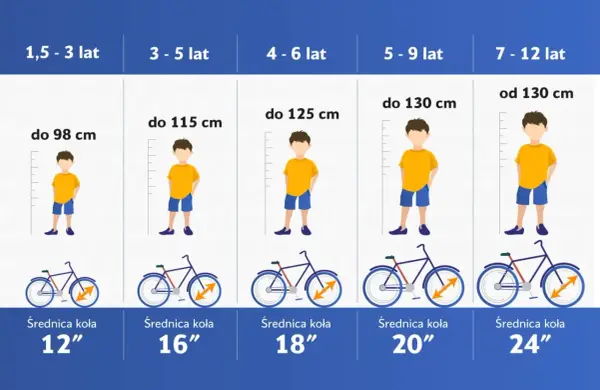 Tabela rozmiarów rowerów: rama 54 cm na jaki wzrost? Od 130 cm wzrostu, dla dzieci 7-12 lat, koła 24".