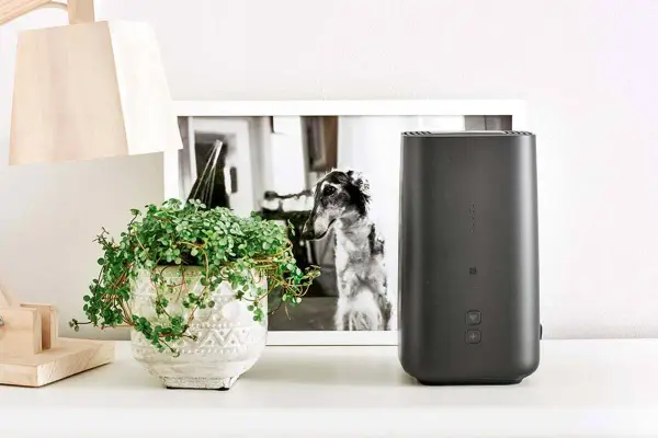 Czarny router 5G/LTE obok doniczki z rośliną i ramki ze zdjęciem psa.