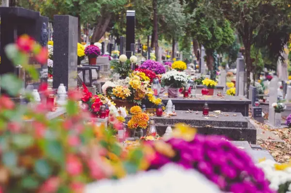 Cmentarz z nagrobkami ozdobionymi kwiatami i zniczami. Szukasz informacji, jak znaleźć gdzie jest pochowana osoba?