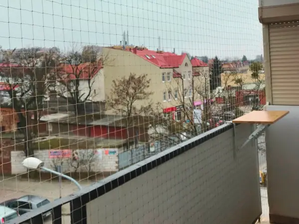 Jak zabezpieczyć dół balkonu przed wypadkami i niechcianymi ptakami