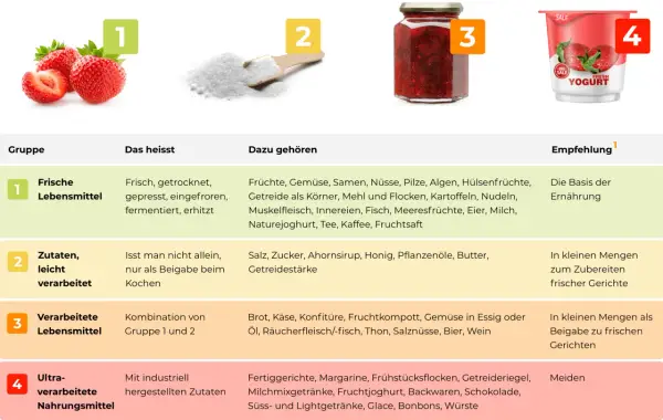 Die Grafik erklärt, was ist fast food: von frischen Lebensmitteln bis zu ultra-verarbeiteten Produkten, die man meiden sollte.