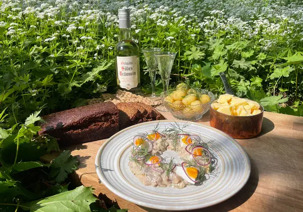 En härlig sommardukning med sill, färskpotatis, mörkt bröd och en flaska Östgöta Sades Brännvin för egen snaps till sillen.