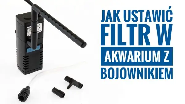 Jak prawidłowo zamontować filtr w akwarium – uniknij błędów i zadbaj o ryby
