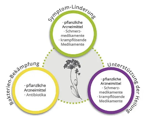 Harnwegsinfektion Medikamente: Effektive Behandlungen und Alternativen