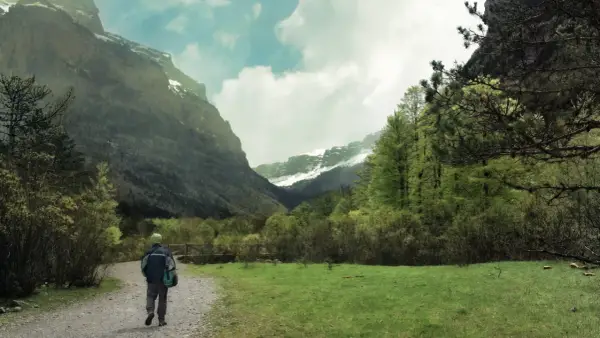 Senderos del Pirineo Aragonés, un excursionista camina hacia imponentes montañas con picos nevados y exuberante vegetación verde.