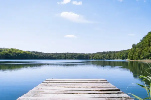Holzsteg am ruhigen See, umgeben von grünen Wäldern. Ein perfekter Ort für einen geheimtipp mecklenburgische seenplatte Urlaub.