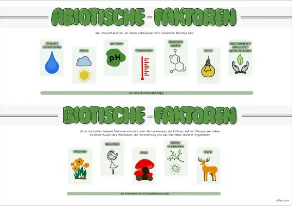 Biotische Faktoren sind Lebewesen wie Pflanzen, Menschen, Pilze, Mikroorganismen und Tiere, die das Ökosystem beeinflussen.