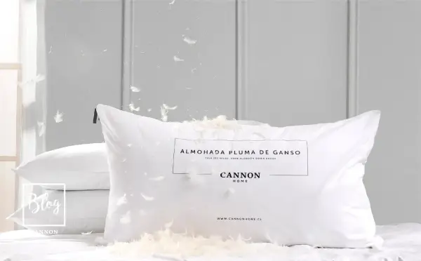 Almohadas de plumas son malas. Plumas flotan por todas partes, cubriendo la almohada Cannon Home.