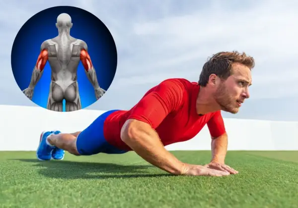 Mann macht Liegestütze, um seinen Trizeps zu trainieren. Ein anatomisches Bild zeigt die beanspruchten Muskeln.