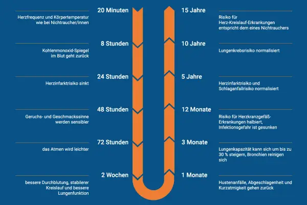 Zeitstrahl zeigt, wie sich der Körper nach dem Rauchstopp verändert. Tipps für rauchen aufhören und Hausmittel werden durch positive Effekte illustriert.