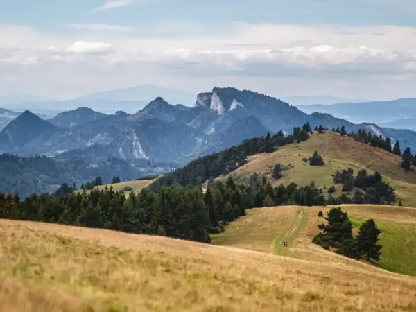 Malownicze krajobrazy Pienin, idealne na szczawnica trasy piesze. W oddali widać skaliste szczyty, a na pierwszym planie zielone wzgórza i ścieżka dla turystów.
