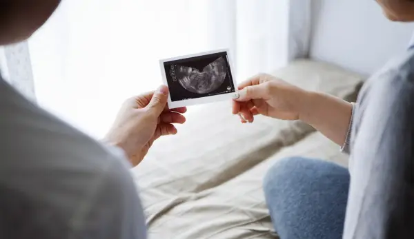 USG we wczesnej ciąży - Kiedy widać zarodek i czynność serca?