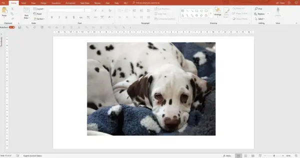 Un cucciolo di dalmata, con il suo manto maculato, riposa su una coperta blu. La crop fotografia cattura la sua espressione dolce e assonnata.