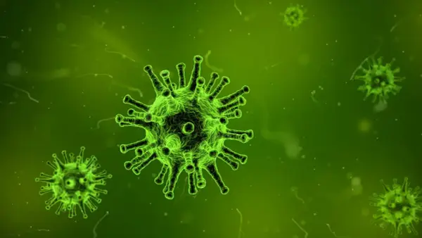 Virus verdi luminosi su sfondo verde scuro, che ricordano l'influenza suina.