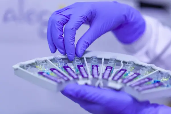 Ręka w fioletowej rękawiczce manipuluje próbówkami w laboratorium. Szybkie testy, jak **mycofast**, wymagają precyzji.