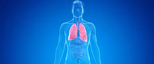Menschlicher Torso mit roten Lungen, die auf COPD und die Notwendigkeit einer Pflegestufe hinweisen.