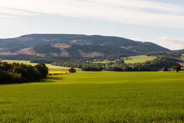 Zielone pola i lasy u podnóża Gór Opawskich. Atrakcje przyrodnicze tego regionu zachwycają o każdej porze roku.