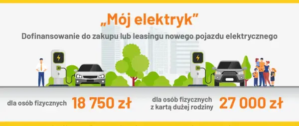 Dopłaty do aut elektrycznych - Czy wiesz, ile można było zyskać?