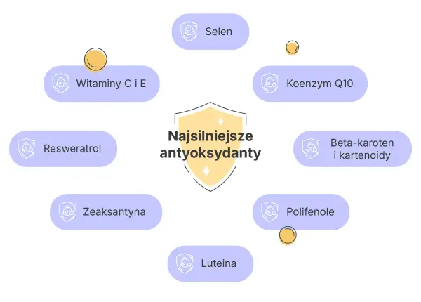 Co to są antyoksydanty? Diagram przedstawia najsilniejsze antyoksydanty: witaminy C i E, selen, koenzym Q10, beta-karoten, polifenole, luteinę, zeaksantynę i resweratrol.