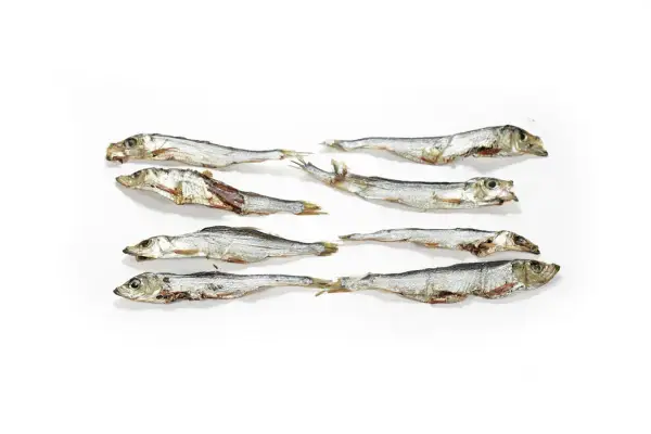 Suszone szprotki ułożone w rzędach. Czy szprotki są zdrowe? Tak, to bogactwo kwasów omega-3 i białka.