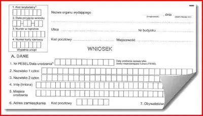 Prosty sposób na bezproblemowe wypełnienie profilu kierowcy krok po kroku