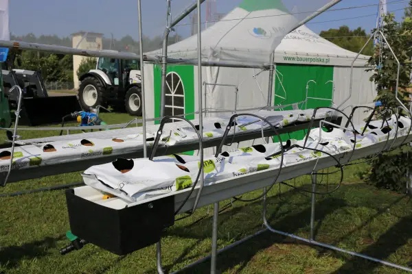 Najlepsze rusztowania do malin od Agronom – klucz do zdrowych plonów