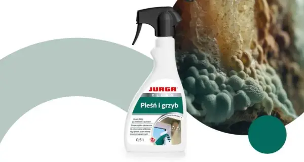 Skuteczne usuwanie grzyba z łazienki: 5 sprawdzonych metod
