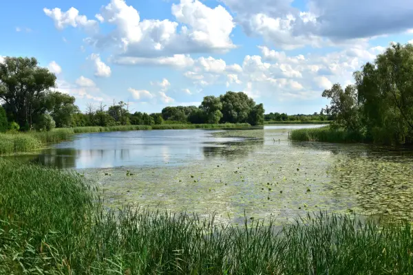 Jezioro Powsinkowskie: najlepsze atrakcje i sposoby na relaks w Wilanowie