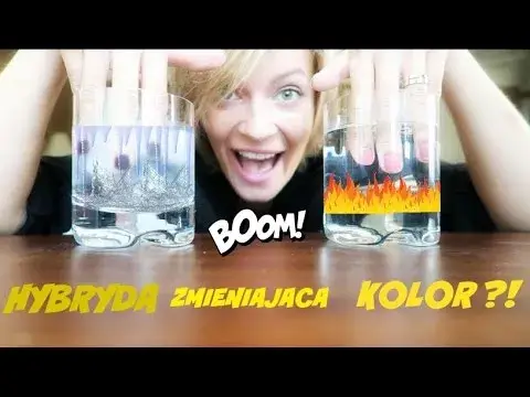 Dlaczego hybryda zmienia kolor? 5 zaskakujących przyczyn