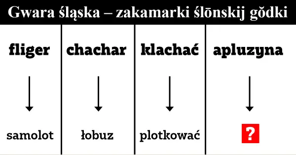 Gwara na Dolnym Śląsku - fascynująca historia języka regionalnego