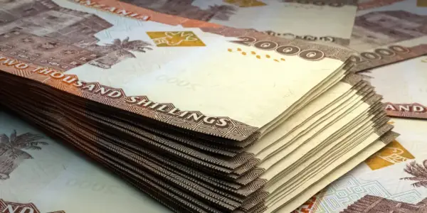 Jaka waluta w Zanzibarze: praktyczny poradnik dla turystów 2025