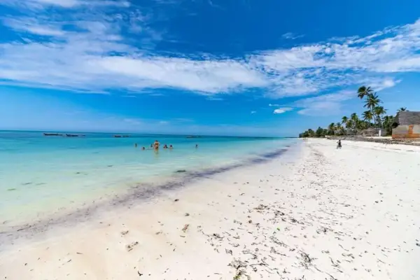 Kiedy najlepiej jechać na Zanzibar? Oto prawda o pogodzie w lutym
