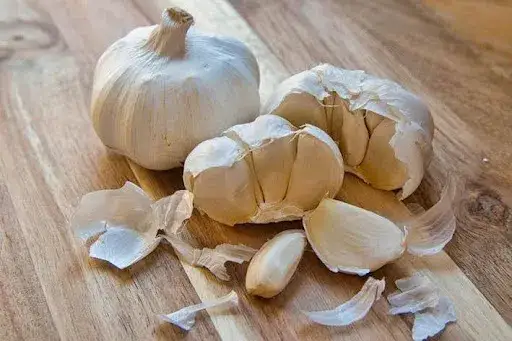 Jak sadzić czosnek? Poradnik krok po kroku po obfite plony!