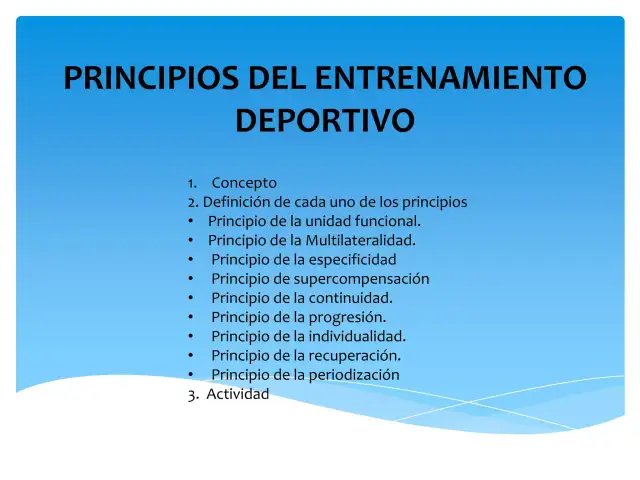 Entrenamiento: qué es, principios y tipos para transformar tu vida