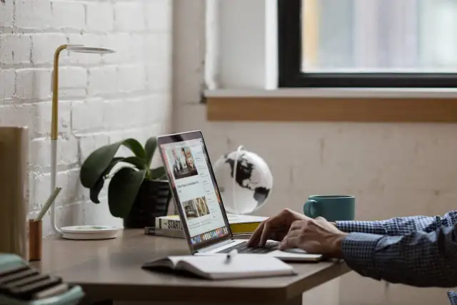 Person tippt auf Laptop, daneben stehen Lampe, Pflanze, Globus und Tasse.