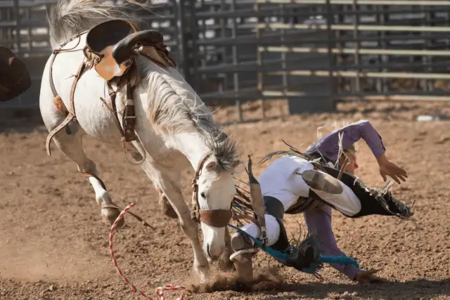 Niebezpieczny upadek z konia podczas rodeo. Jeździec leci w powietrzu, koń szaleje.