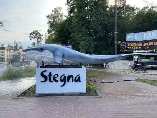 Jak dojechać do Stegny nad morzem - najlepsze opcje transportu i trasy