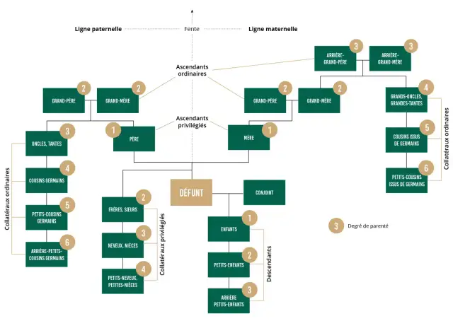 Succession cousin germain - Qui hérite vraiment et à quel prix ?