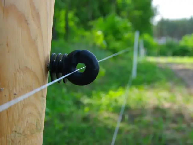 Pastuch elektryczny przy stajni - Poznaj przepisy i uniknij błędów
