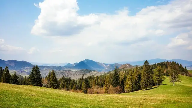 Zielona łąka schodzi ku lasowi, za którym widać pasmo górskie. To najbliższe góry od łodzi, które widać na horyzoncie.