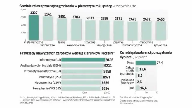 Pierwsza praca po studiach zarobki – co naprawdę możesz zarobić?