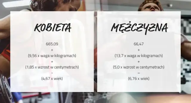Ile powinien trwać trening siłowy na redukcji? Ochrona mięśni to klucz!