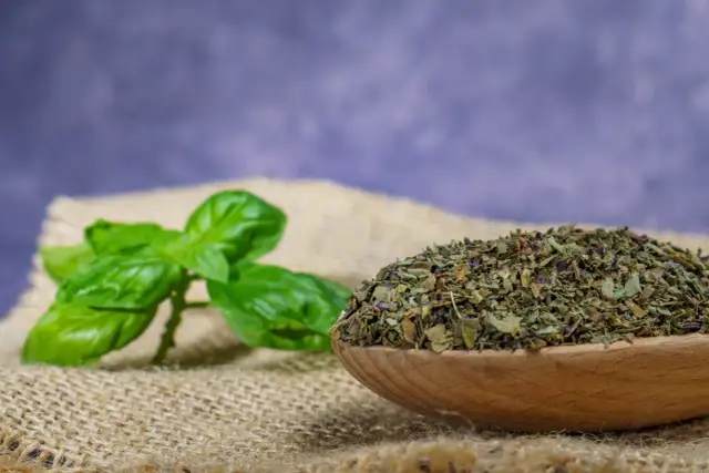 Jak suszyć bazylię? Prosty przewodnik po aromacie lata